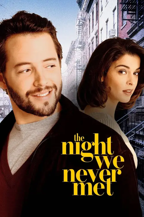 Movie poster "The Night We Never Met"
