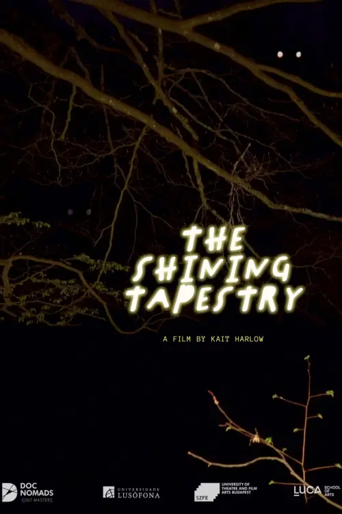 Movie poster "The Shining Tapestry"