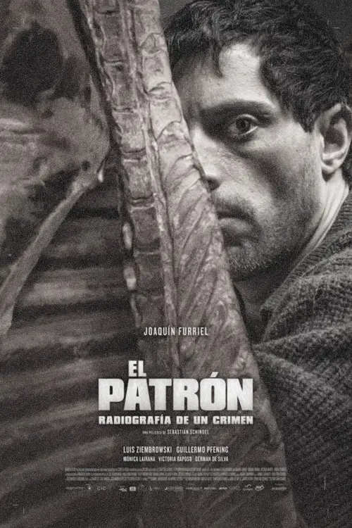 Movie poster "The Boss: Anatomy of a Crime"