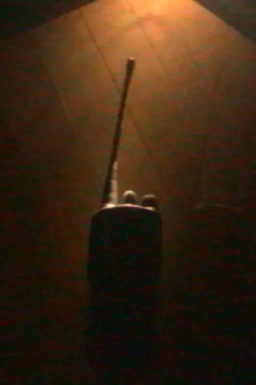 Movie poster "Desight"