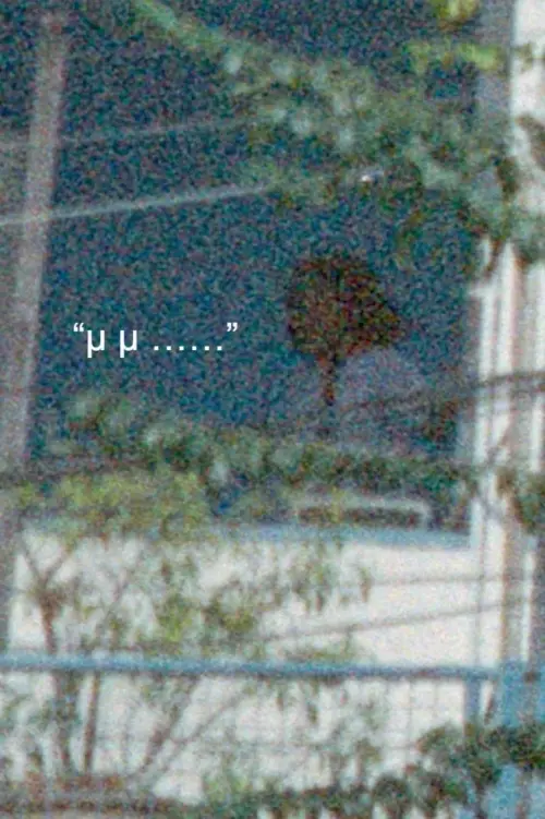 Movie poster "How to be a ghost in Bangkok?"