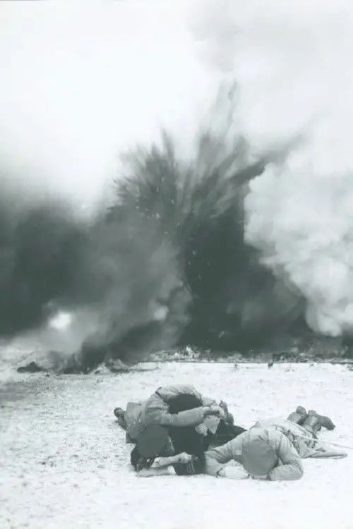 Movie poster "In Defense of the Nation"