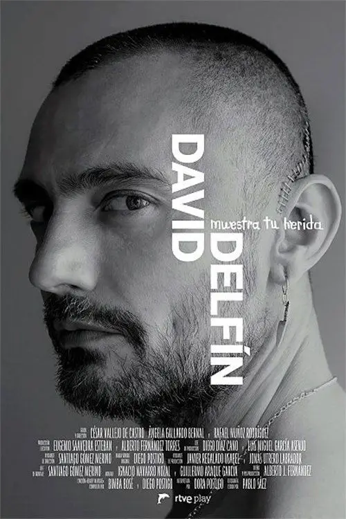 Movie poster "David Delfín, muestra tu herida"