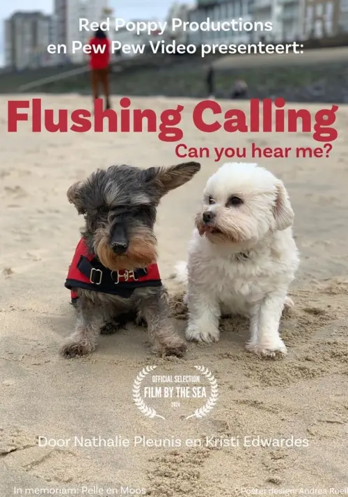 Movie poster "Flushing Calling, Can you hear me?"