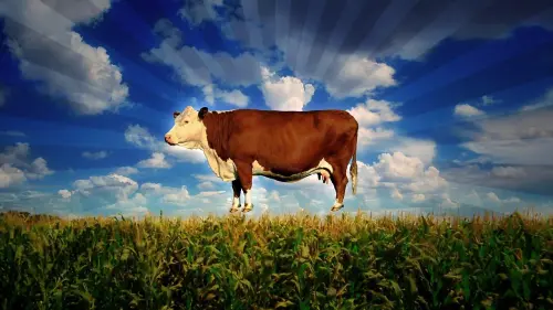 Watch film Food, Inc. | Корпорация "Еда" - Trailer