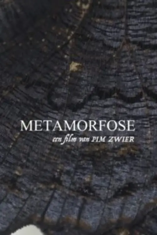 Movie poster "Metamorphosis"