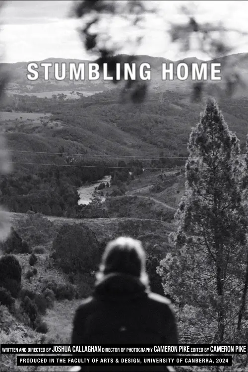 Movie poster "Stumbling Home"