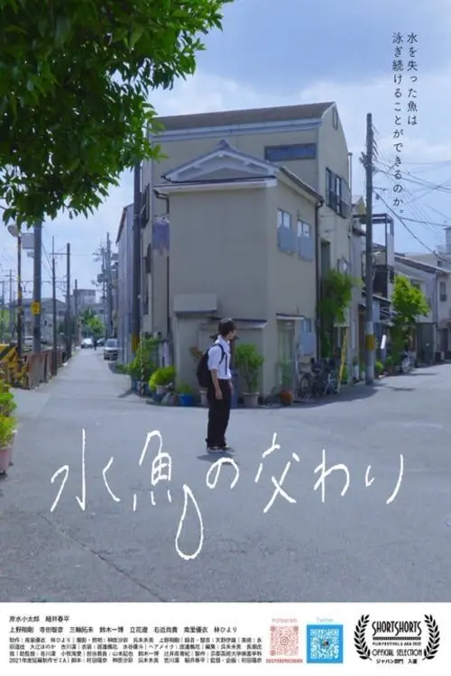 Movie poster "Water and Fish"