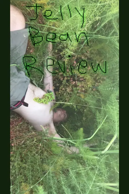 Movie poster "Jelly Bean Review"