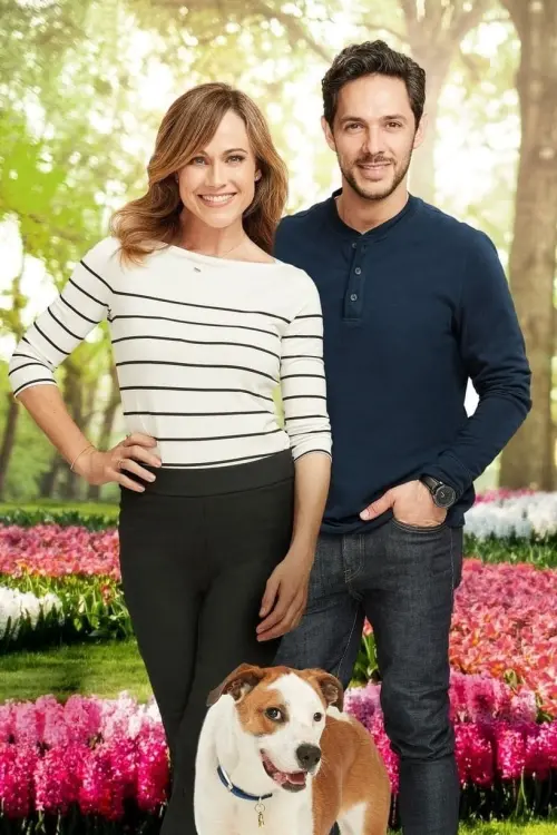 Movie poster "Love to the Rescue"