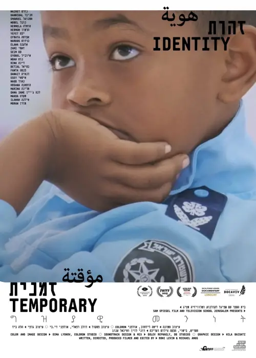 Movie poster "Temporary Identity"