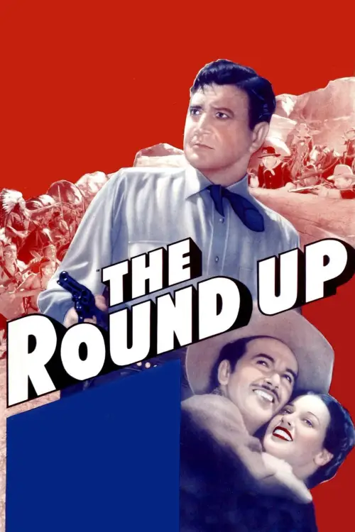 Movie poster "The Roundup"