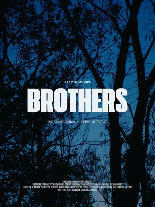 Movie poster "Brothers"