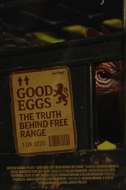 Movie poster "Good Eggs"
