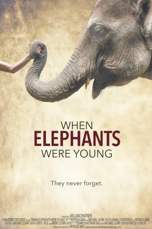 Movie poster "When Elephants Were Young"
