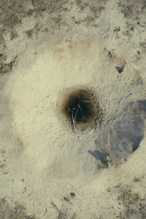 Movie poster "Land of Silence"