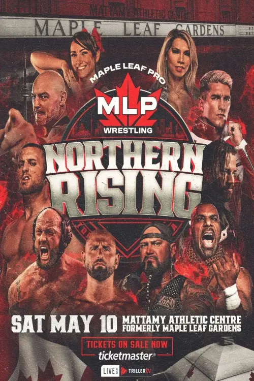 Movie poster "MLP Northern Rising"