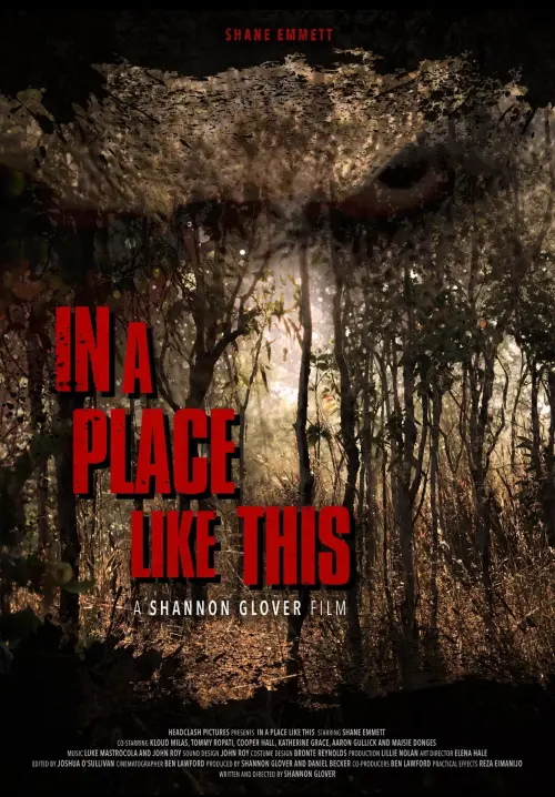 Movie poster "In A Place Like This"