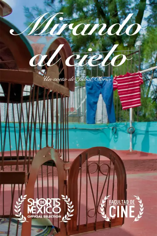 Movie poster "Mirando al Cielo"