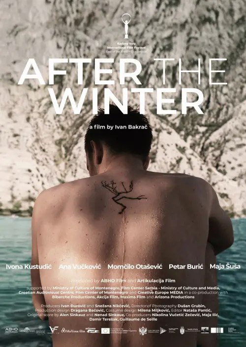 Movie poster "After the Winter"