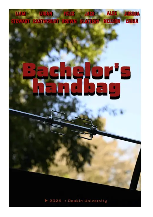 Movie poster "Bachelors Handbag"