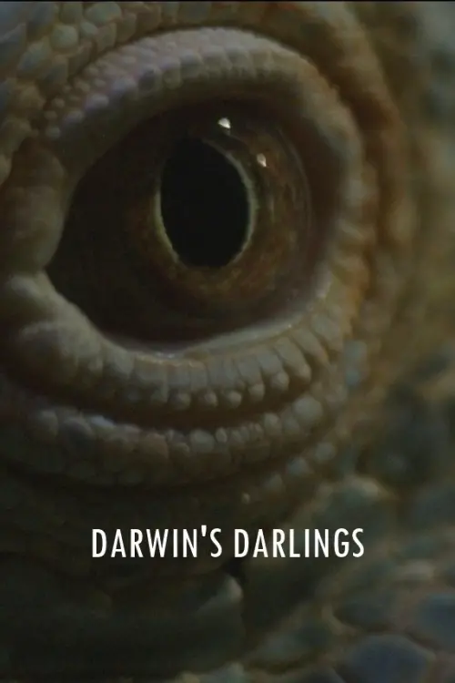 Movie poster "Darwin
