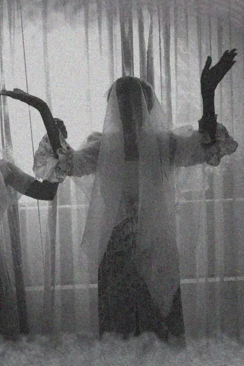 Movie poster "Realms Remix"