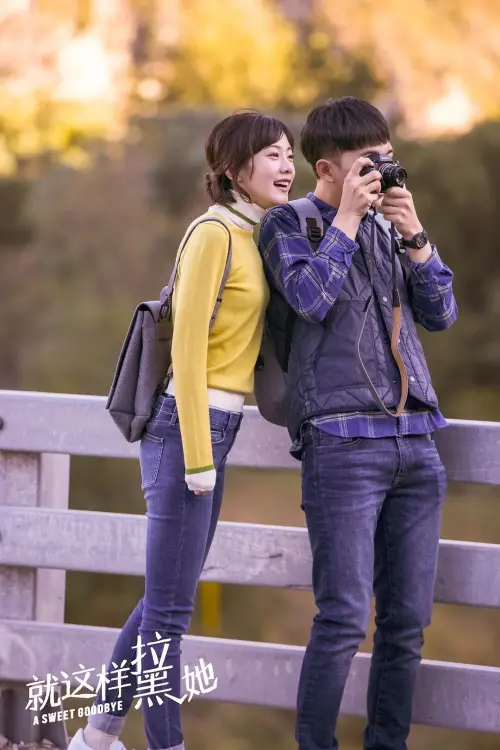 Movie poster "A Sweet Goodbye"