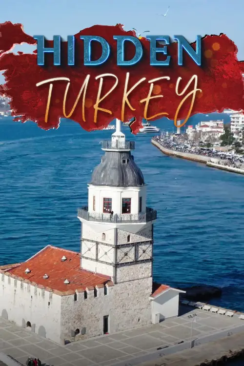 Movie poster "Hidden Turkey"