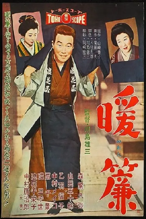 Movie poster "The Shop Curtain"