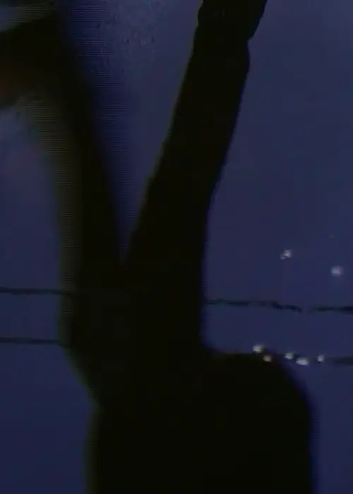 Movie poster "[W I N G S O F L O V E]"