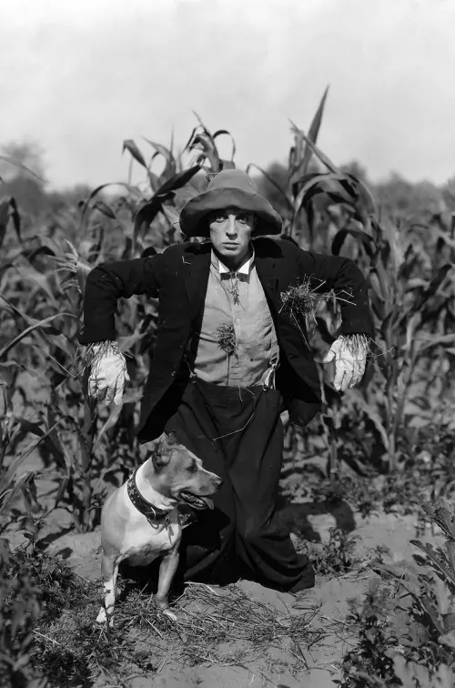 Movie poster "The Scarecrow"