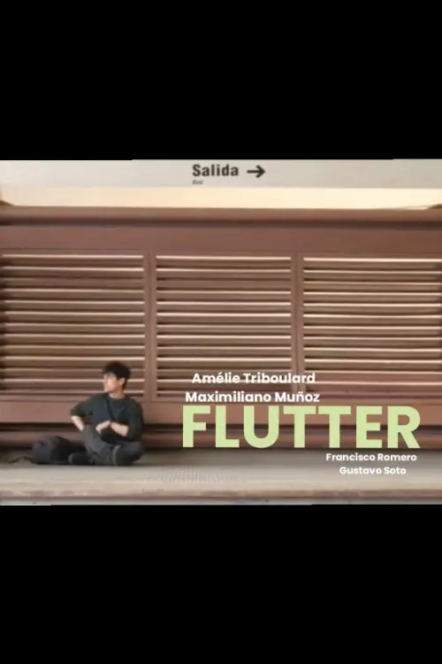 Movie poster "Flutter"
