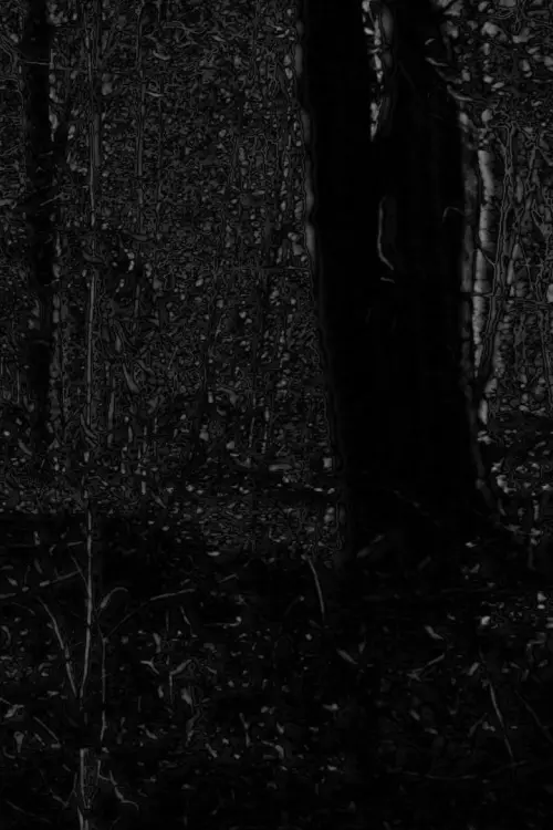 Movie poster "Phosphenes II"