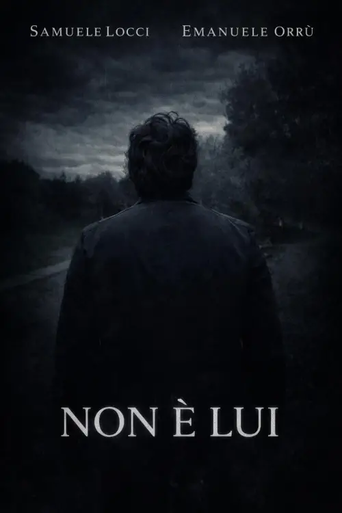 Movie poster "Non è lui"