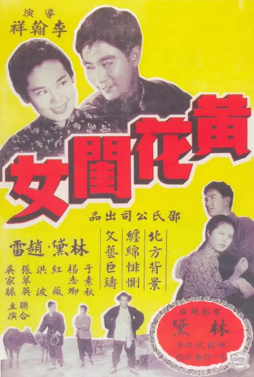 Movie poster "Lady in Distress"