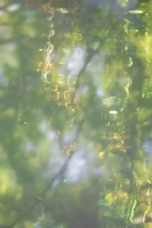Movie poster "Printemps"