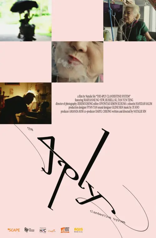 Movie poster "The 4PLY Clandestine System"