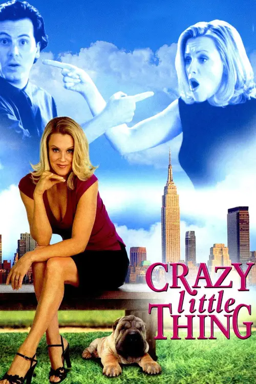 Movie poster "The Perfect You"