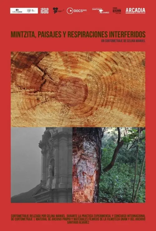 Movie poster "Mintsita, paisajes y respiraciones interferidos"