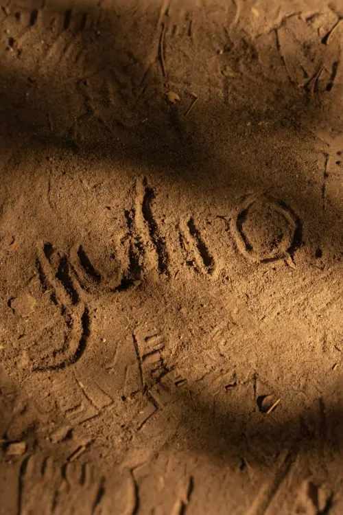 Movie poster "JuliO"