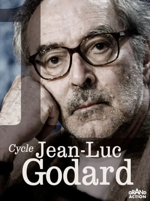 Movie poster "Moments choisis des Histoire(s) du cinéma"