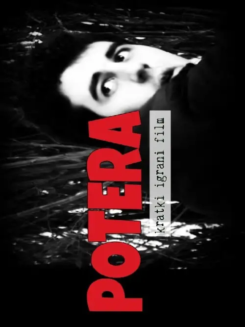 Movie poster "The Pursuit"