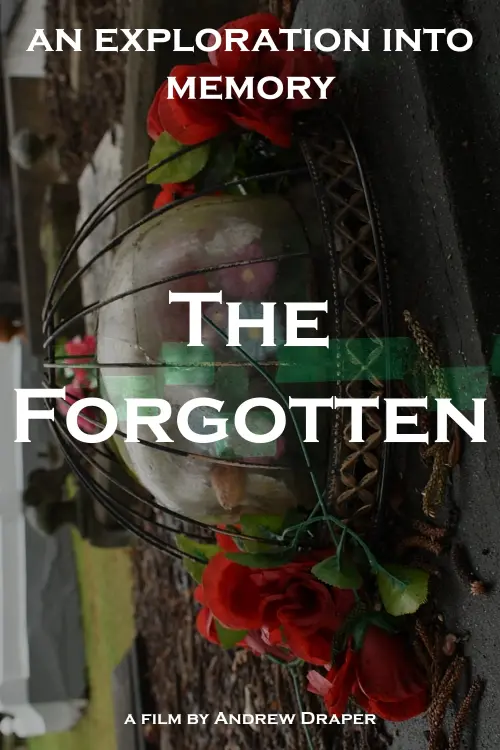 Movie poster "The Forgotten"