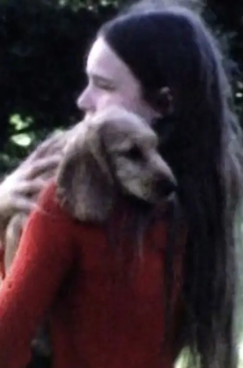 Movie poster "The Tragic Movement of the Spheres"