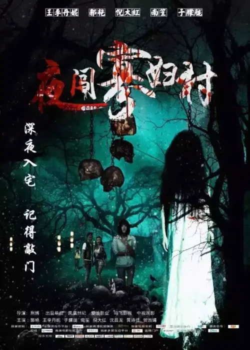 Movie poster "Visit the Widow Village in the Night"