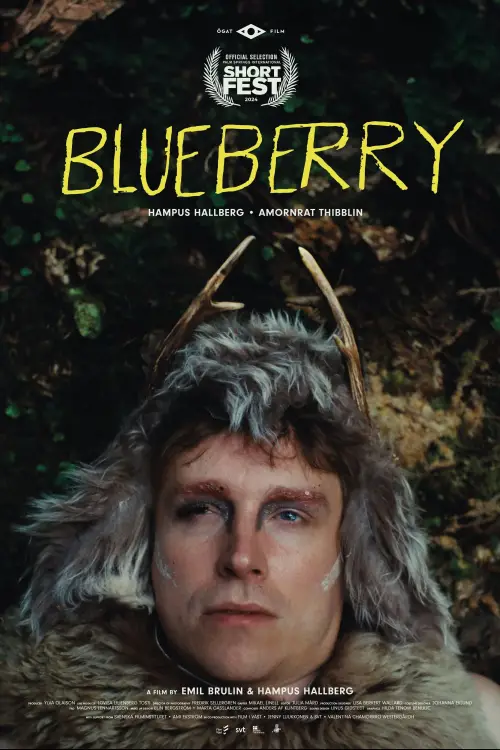 Movie poster "Blueberry"