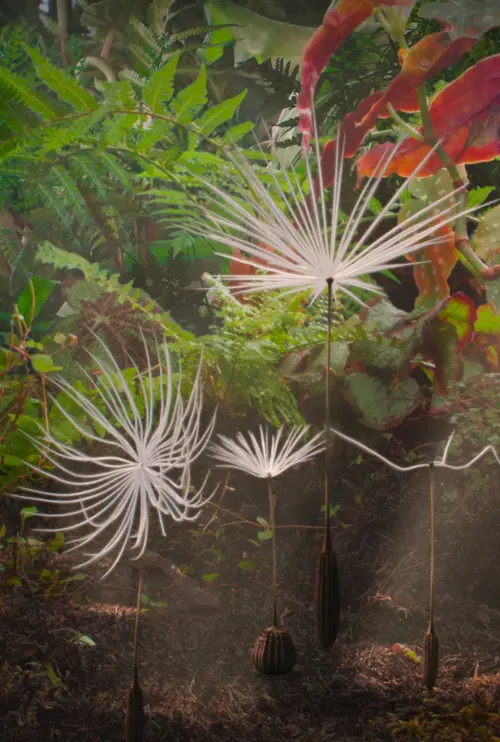 Movie poster "Dandelion