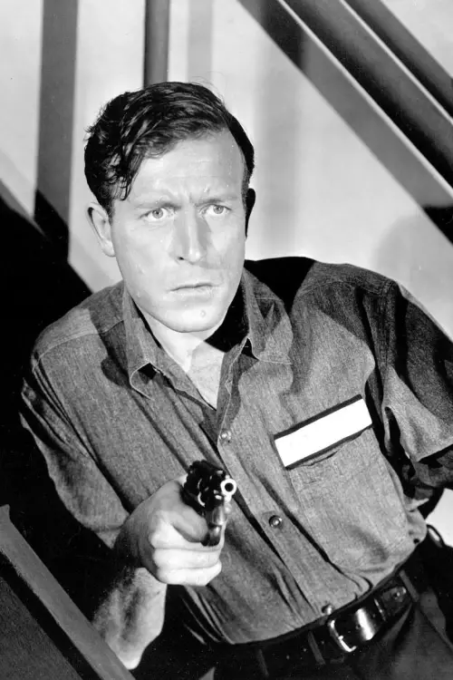 Movie poster "The Hoodlum"