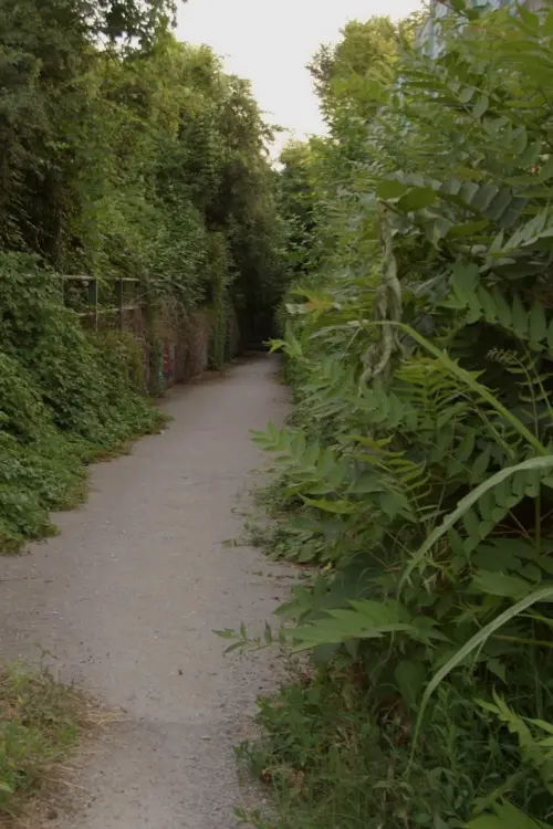 Movie poster "Forestia"